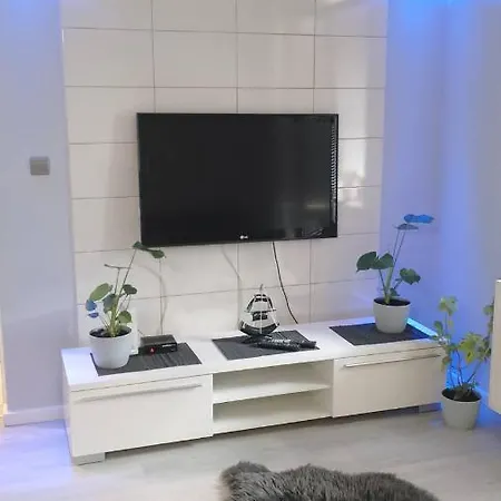 Zalesie Z Tarasem Lubiń