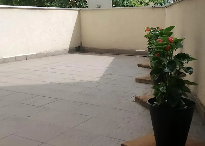 Zalesie Z Tarasem Apartment