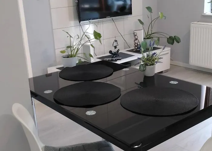 Zalesie Z Tarasem Apartment